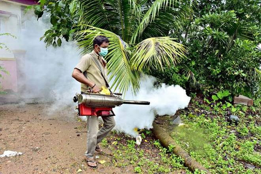 dengue.j